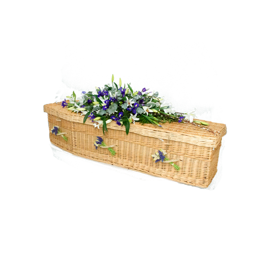 Larkspur Willow Coffin