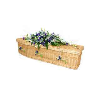 Larkspur Willow Coffin