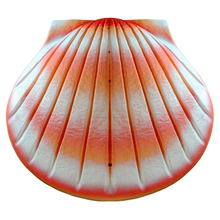 Load image into Gallery viewer, The Shell Urn